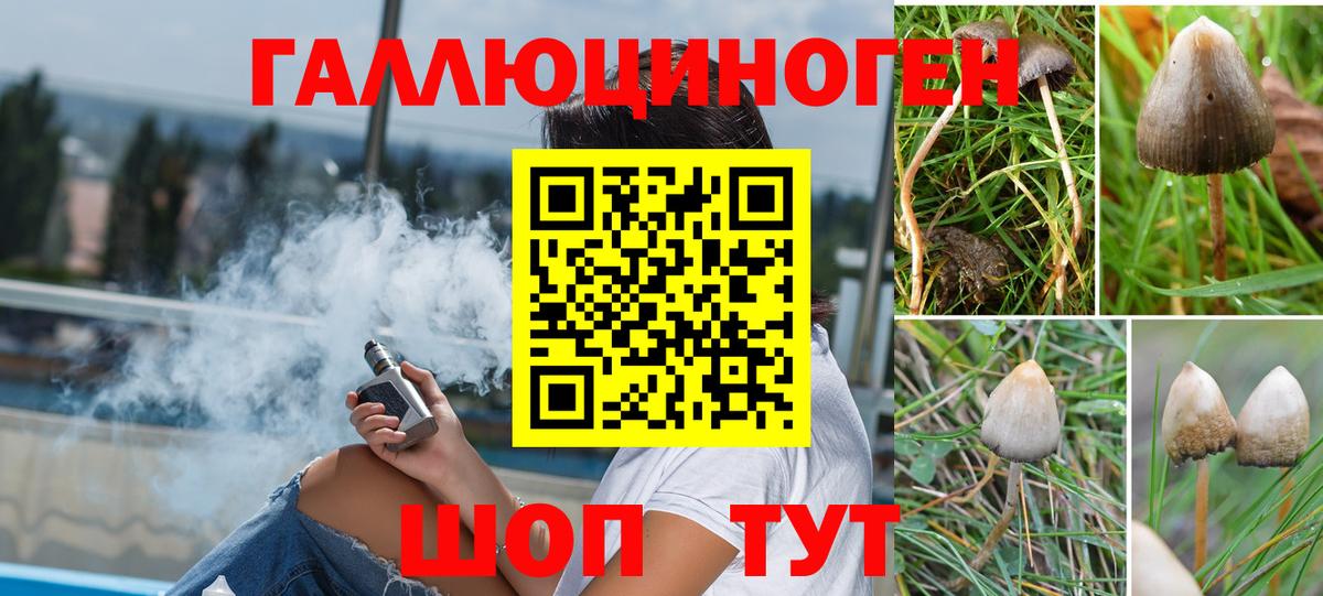 Галлюциногенные грибы прущие грибы Майский